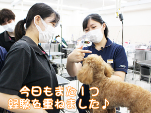 ２年生のトリミング実習♪